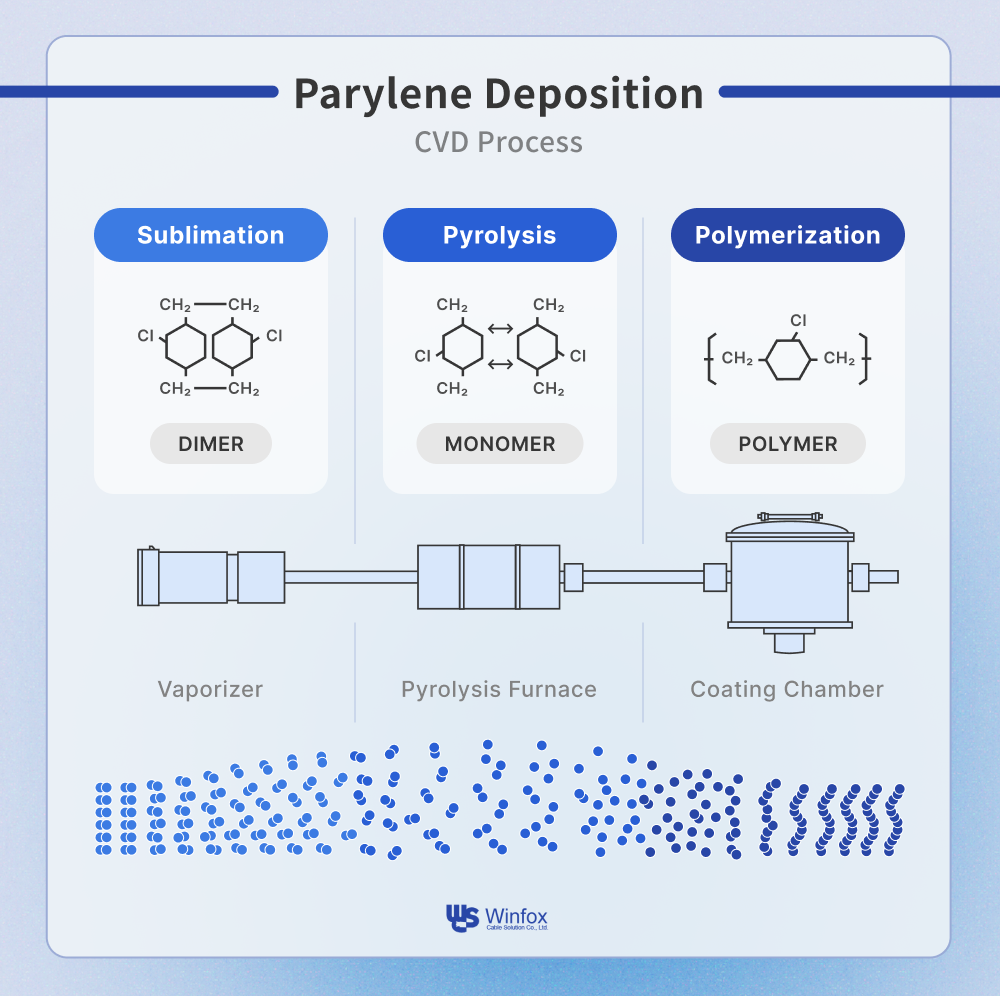 An infographic presents the parylene deposition process.